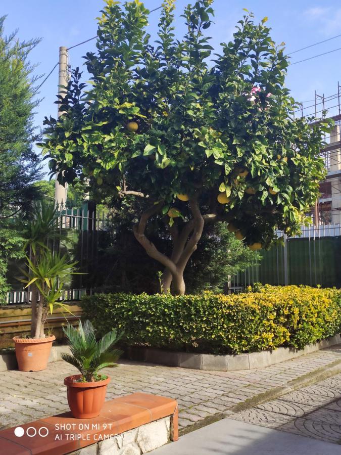 I Colori Del Vesuvio Apartment Сан Себастиано ал Везувио Екстериор снимка